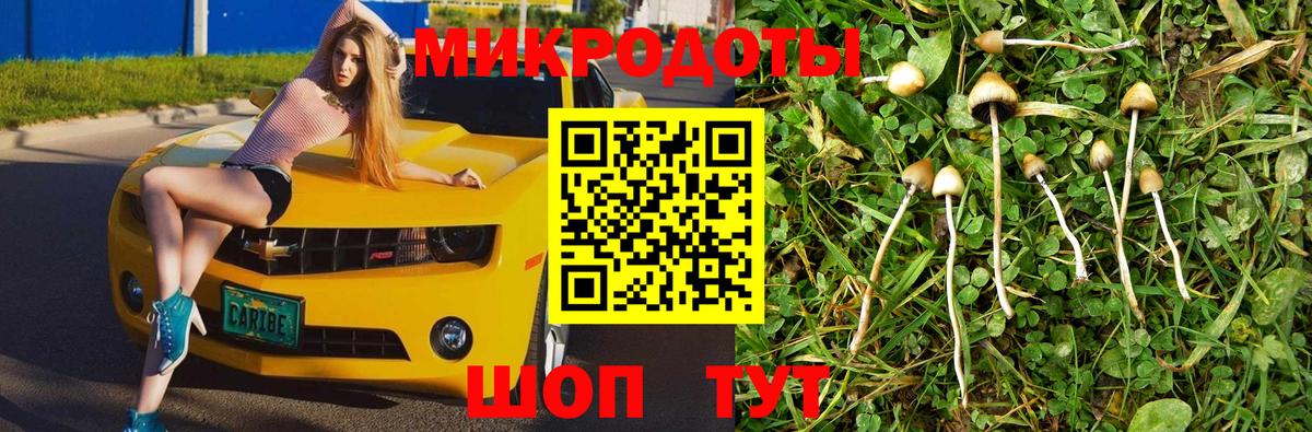 Галлюциногенные грибы мухоморы Барнаул