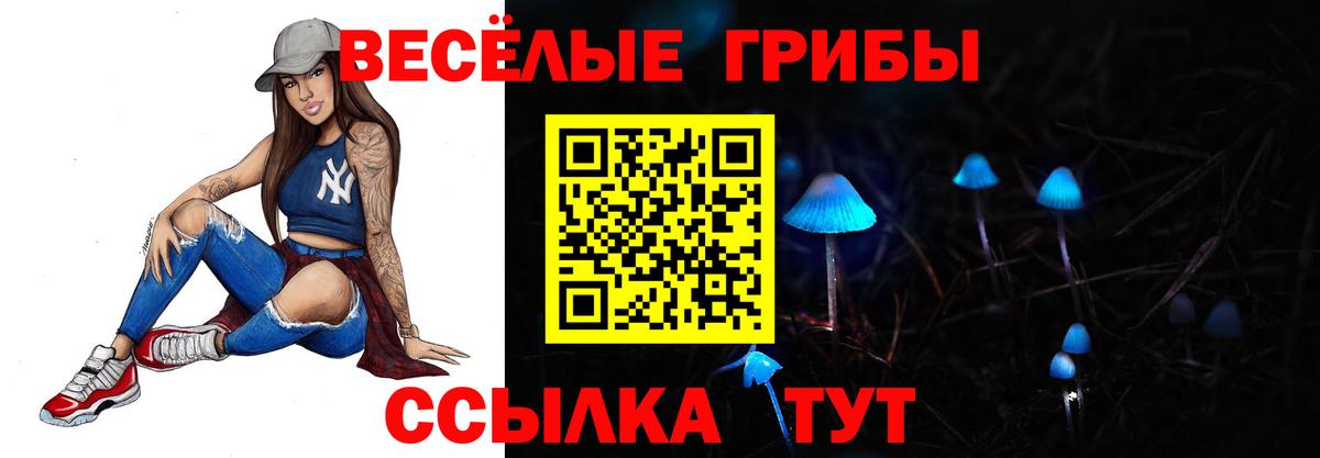 Псилоцибиновые грибы Cubensis  Вход с VPN  Барнаул 